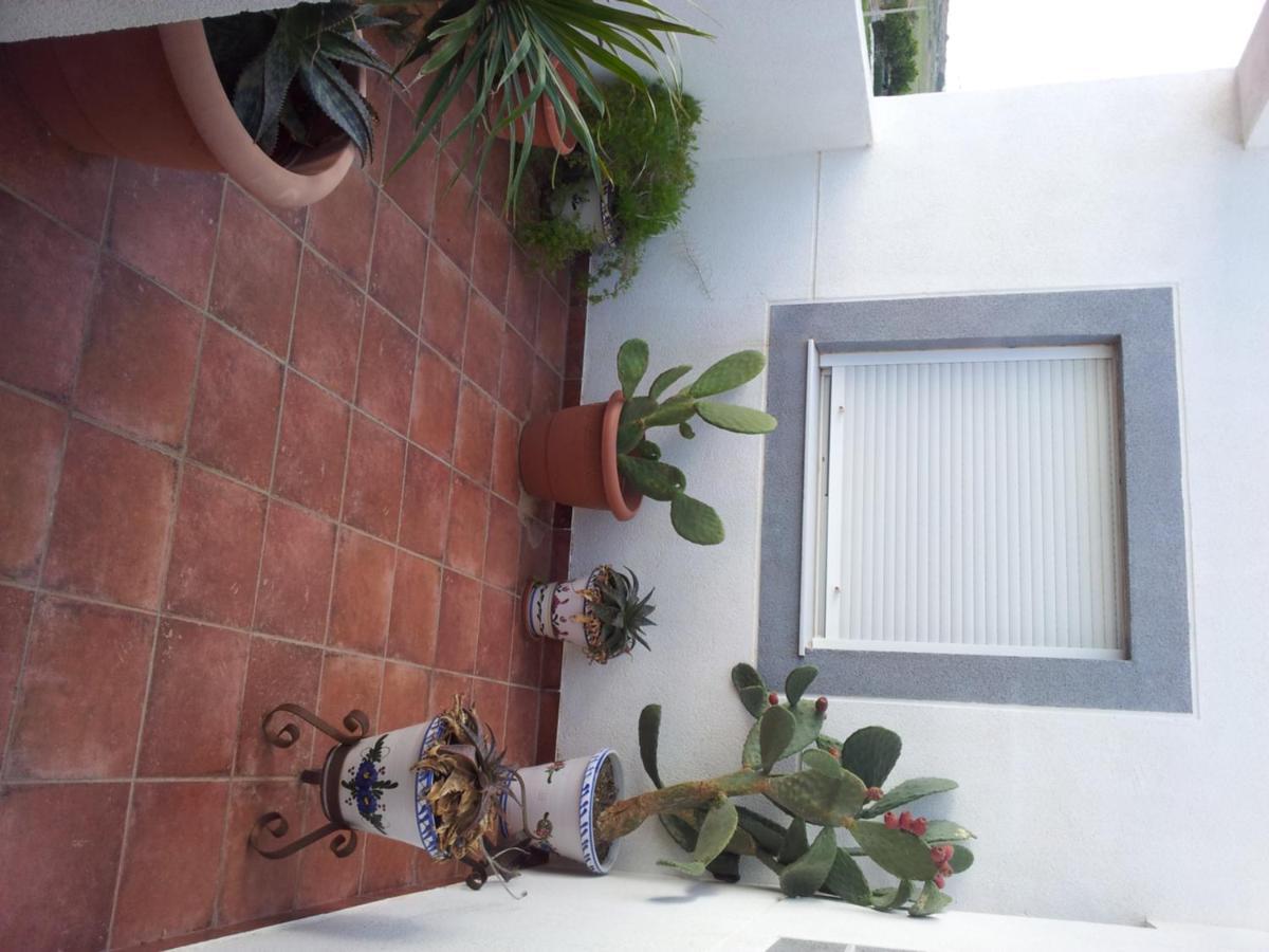Hostal Rural Alba Los Albaricoques Εξωτερικό φωτογραφία