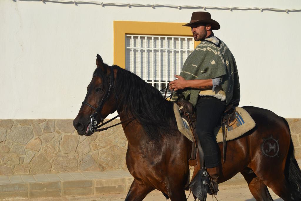 Hostal Rural Alba Los Albaricoques Εξωτερικό φωτογραφία